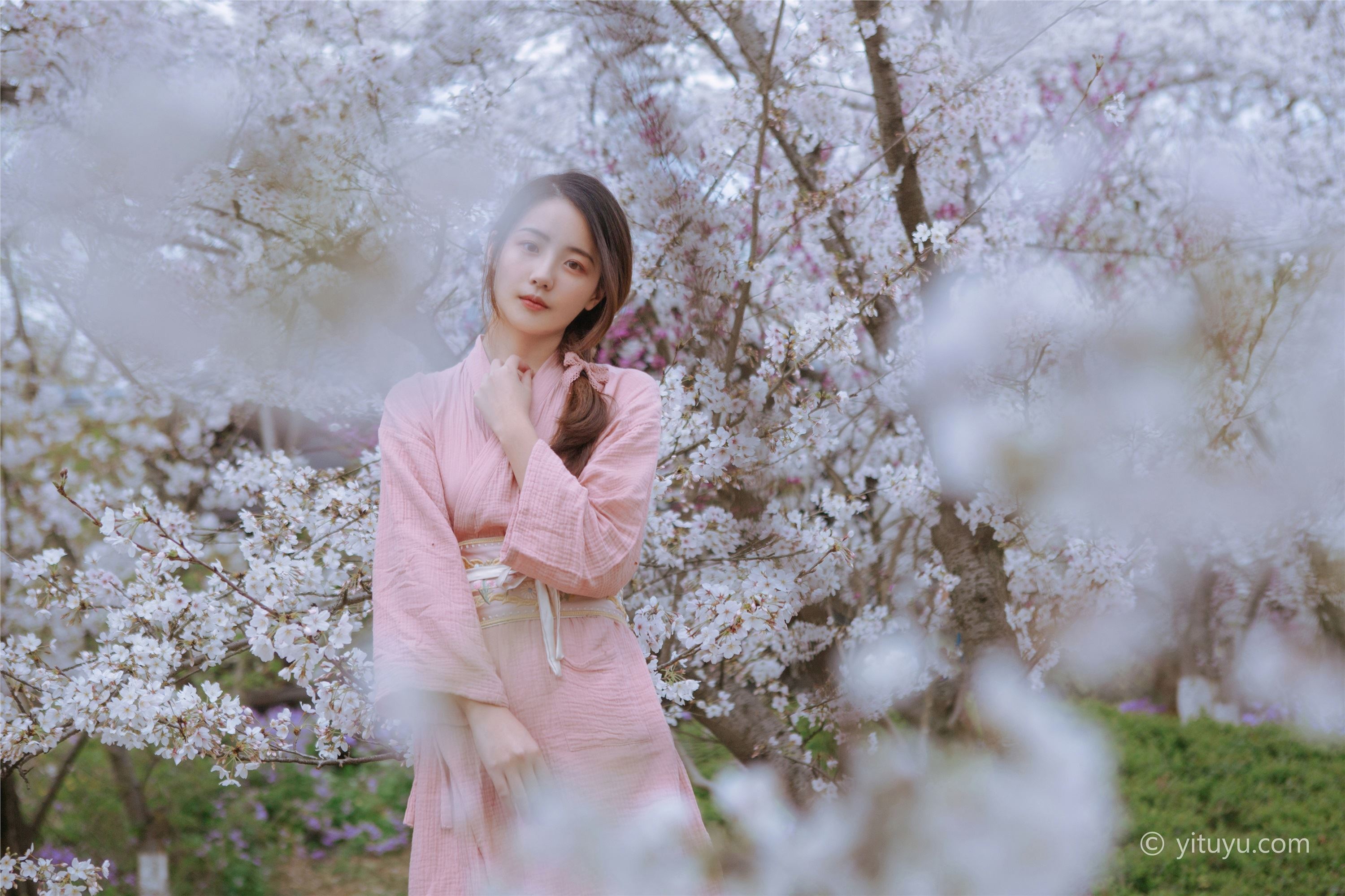 As the wind warms, cherry blossoms will be a small April